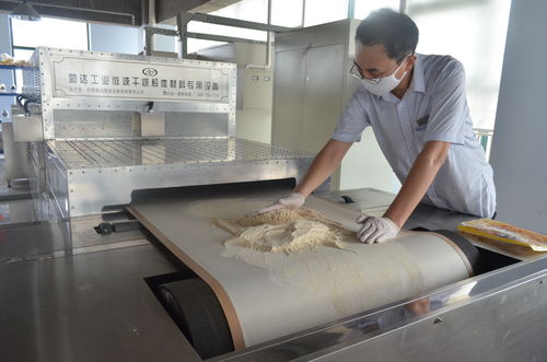 微波干燥機(jī)設(shè)備在食品加工業(yè)的應(yīng)用特點